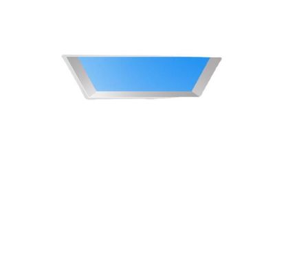 ফ্লাইহাইট নীল আকাশ মেঘ নিমজ্জিত 450x450 মিমি সজ্জিত নেতৃত্বাধীন সিলিং প্যানেল আলো,সজ্জিত প্লেট নেতৃত্বাধীন প্যানেল