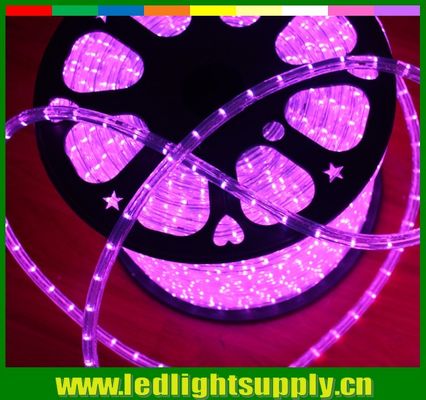 LED নমনীয় LED স্ট্রিপ 1/2 '' 2 তারের দড়ি lowvolt 24/12v সঙ্গে duralights
