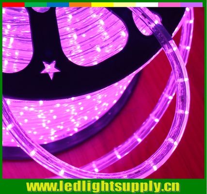 গোলাপী 12/24v LED 1/2 '' 2 তারের বহিরঙ্গন ক্রিসমাস দড়ি লাইট