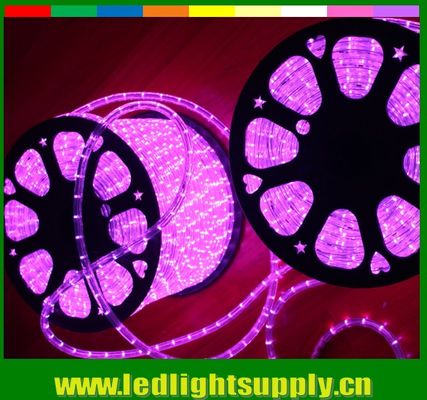 গোলাপী 12/24v LED 1/2 '' 2 তারের বহিরঙ্গন ক্রিসমাস দড়ি লাইট