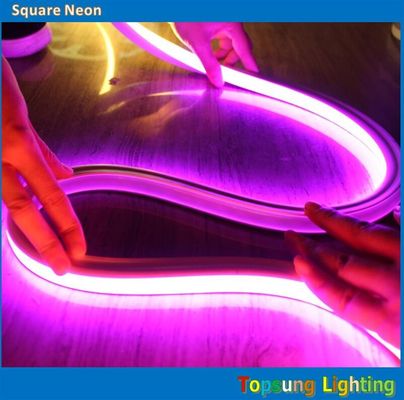 হট সেল 100v 16*16 মি রঙিন নিওন LED নমনীয় স্ট্রিপ বহিরঙ্গন জন্য