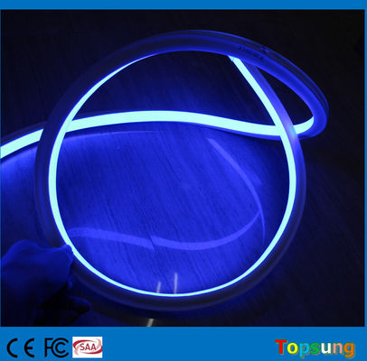 গরম বিক্রয় স্কয়ার 127v 16*16m নীল LED নিওন ফ্লেক্স লাইট বিল্ডিং জন্য