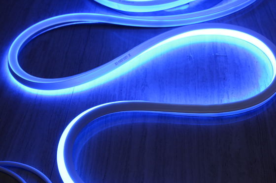 শেনঝেন ডিসি 24 ভোল্ট ফ্ল্যাট নমনীয় নীল নিওন LED16x16 মিমি বর্গাকার আকৃতির প্রসাধন জন্য