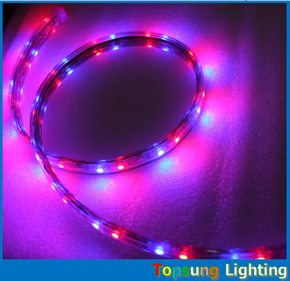 গরম বিক্রয় 5050 smd 60LED/m নীল স্ট্রিপ নমনীয় LED রিবন 110V এসি LED স্ট্রিপ