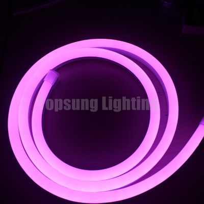 রঙ পরিবর্তন LED ক্রিসমাস লাইট 14 * 26mm ডিজিটাল দড়ি লাইট