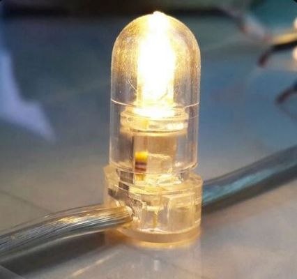 বহিরঙ্গন গাছের সজ্জা ক্রিসমাস মাল্টি রঙ LED 12V LED ক্লিপ লাইট ছুটির আলোর