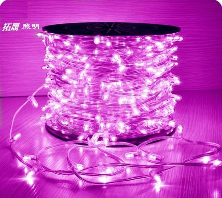 ক্রিসমাস ট্রি সজ্জা স্বচ্ছ তারের Fairy লাইট 12V LED ক্লিপ লাইট আলোকসজ্জা নাভিদাদ