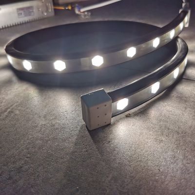 কালো পিভিসি দড়ি LED ল্যান্ডস্কেপ লাইট ওয়াল ওয়াশ LED স্ট্রিপ নমনীয়